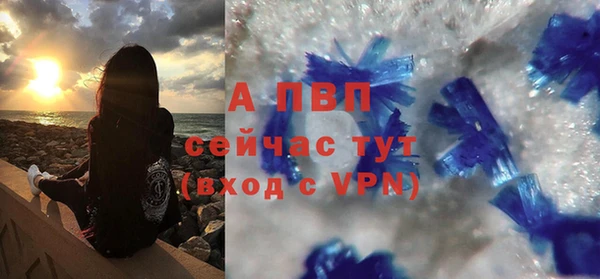 индика Богданович