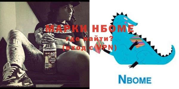 индика Богданович