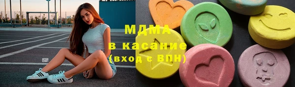 индика Богданович