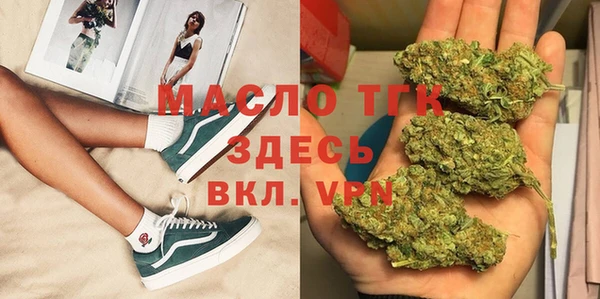 сатива Балахна