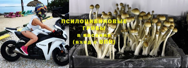 таблы Богородицк