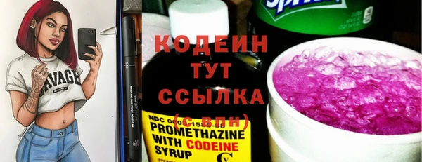 индика Богданович