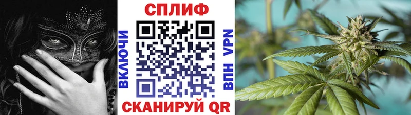 Каннабис тримм  мега зеркало  Буй  купить наркотик 
